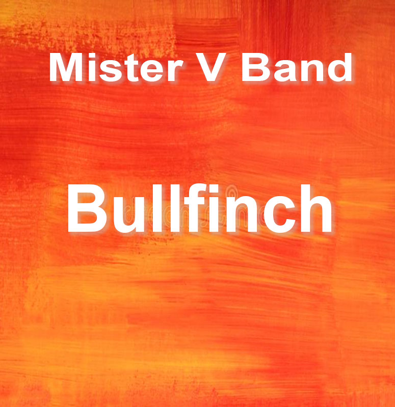 Mister V Band - Bullfinch