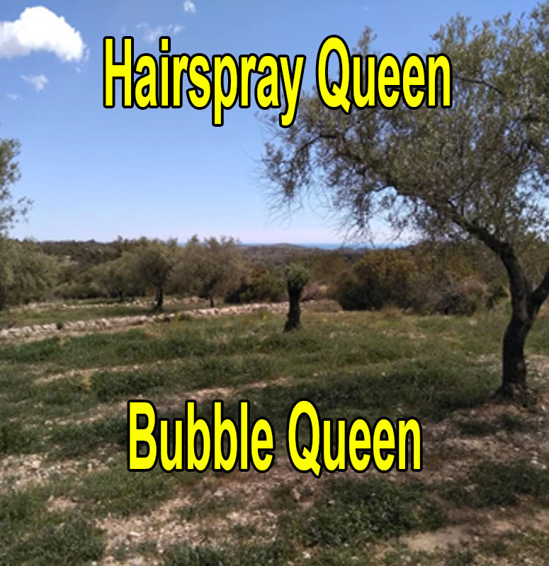 Hairspray-Qeen, Bubble-Queen