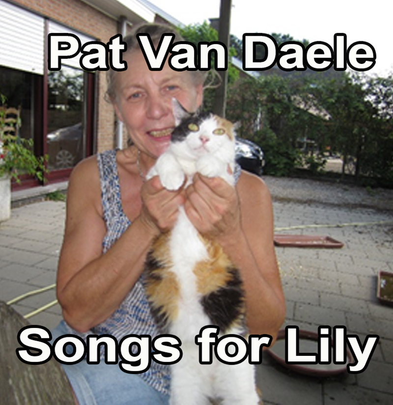 Songs for Lily - Pat Van daele