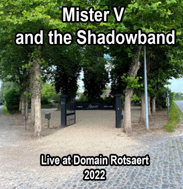 Mister V and the Shadowband - Live a Domain Rotsaert